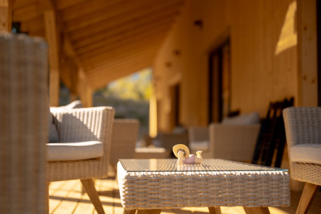 cilantro-apartments-240704-net-017